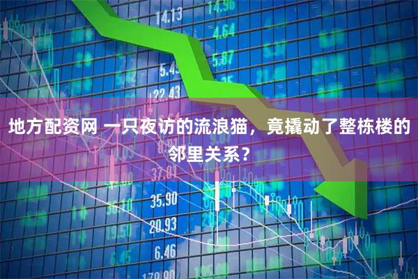 地方配资网 一只夜访的流浪猫，竟撬动了整栋楼的邻里关系？