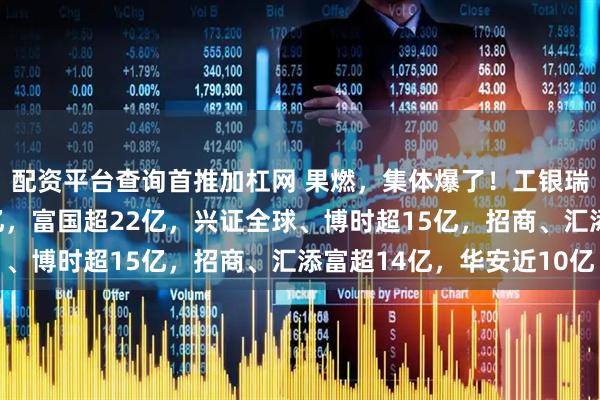 配资平台查询首推加杠网 果燃，集体爆了！工银瑞信30亿，华夏近24亿，富国超22亿，兴证全球、博时超15亿，招商、汇添富超14亿，华安近10亿