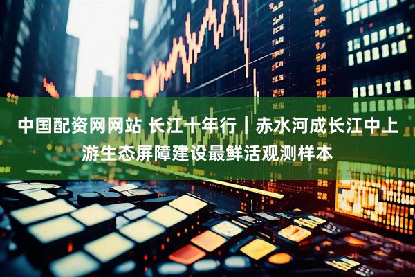 中国配资网网站 长江十年行｜赤水河成长江中上游生态屏障建设最鲜活观测样本
